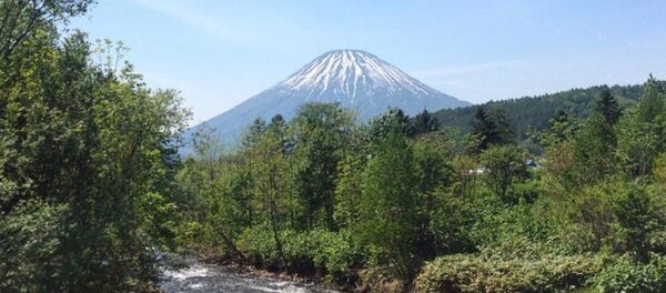 Japonya - Sputnik Türkiye