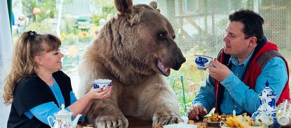 Rus aile bir ayıyla yaşıyor - Sputnik Türkiye