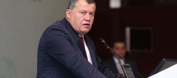 Yargıtay Başkanı İsmail Rüştü Cirit - Sputnik Türkiye