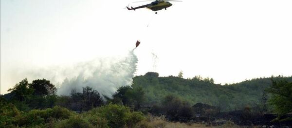 Orman yangını - helikopter - Sputnik Türkiye