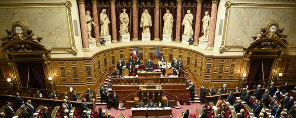 Fransa Senatosu. - Sputnik Türkiye