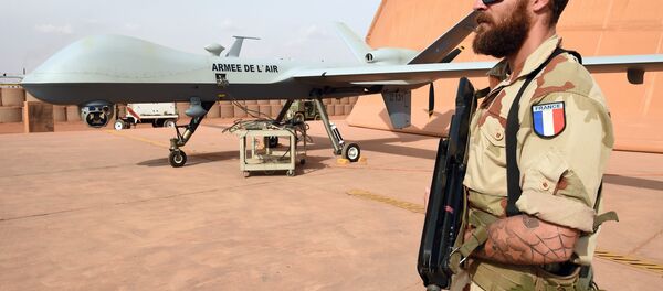 Fransa askeri - Sputnik Türkiye