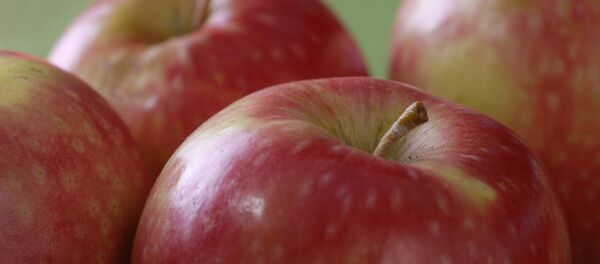 Elma - Sputnik Türkiye