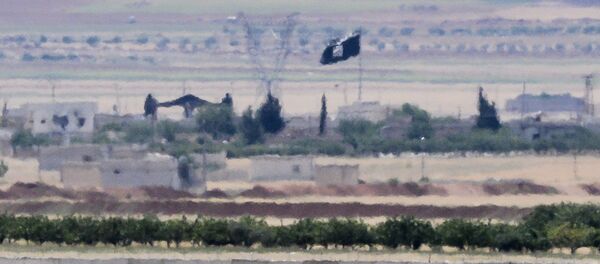 Türkiye - Suriye sınırı / IŞİD bayrağı - Sputnik Türkiye