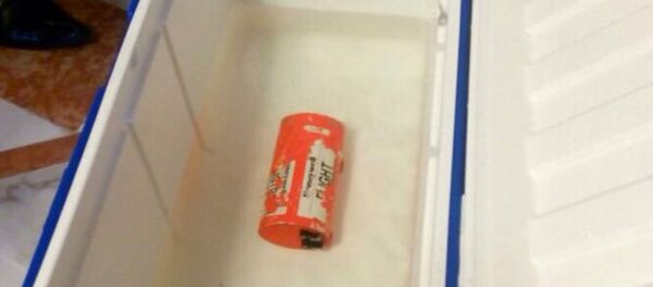 EgyptAir - Sputnik Türkiye