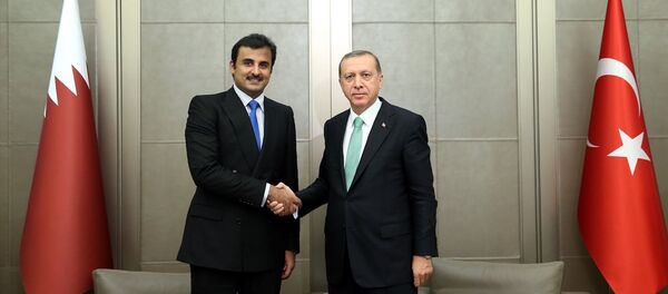 Türkiye Cumhurbaşkanı Recep Tayyip Erdoğan- Katar Emiri Şeyh Temim bin Hamad El Sani Türkiye Cumhurbaşkanı Recep Tayyip Erdoğan- Katar Emiri Şeyh Temim bin Hamad El Sani - Sputnik Türkiye