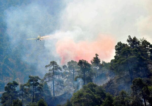 Kıbrıs ‘taki Trodos dağı eteklerinde çıkan ve rüzgarın etkisiyle hızla yayılan orman yangını nedeniyle 4 köy boşaltıldı, 2 itfaiyeci hayatını kaybetti. - Sputnik Türkiye