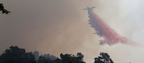 Kıbrıs yangın - Sputnik Türkiye