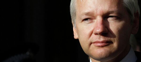Julian Assange - Sputnik Türkiye