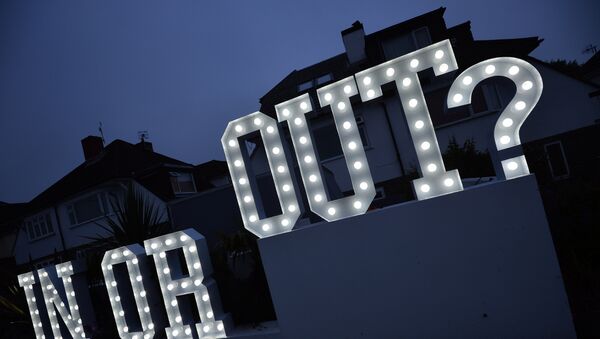 An illuminated In or Out sign is pictured outside a house in Hangleton near Brighton in southern England, on June 23, 2016, as Britain holds a referendum on whether to stay or leave the European Union (EU) - Sputnik Türkiye