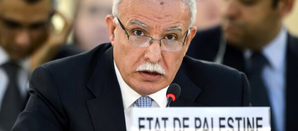 Filistin Başbakanı Riyad el-Maliki - Sputnik Türkiye