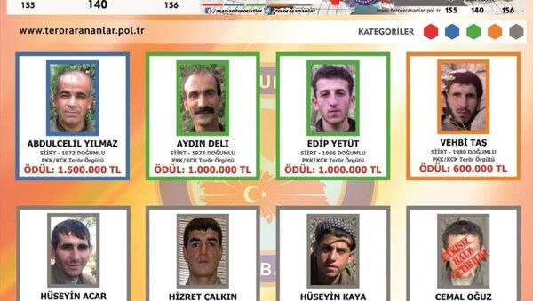 Siirt Valiliği, üzerinde aranan PKK’lıların bulunduğu fotoğrafları ve ihbarcılara verilecek ödül miktarının yer aldığı 100 bin Türkçe-Kürtçe broşür bastırdı. - Sputnik Türkiye