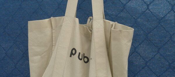 Bez çanta - Sputnik Türkiye