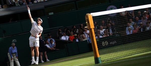 Andy Murray - Sputnik Türkiye