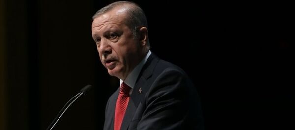 Cumhurbaşkanı Recep Tayyip Erdoğan - Sputnik Türkiye