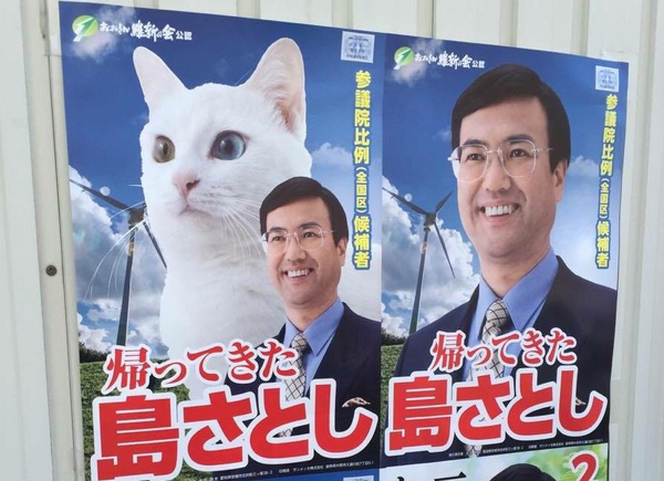 Japonya’da bir politikacı Aichi vilayetindeki Mikawa bölgesindeki seçimler için Van kedili seçim kampanyasına girişti. - Sputnik Türkiye