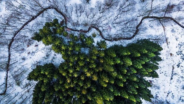 İHA'dan çekilen fotoğraflar - Sputnik Türkiye