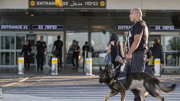 Tel Aviv - Ben Gurion Havalimanı - Sputnik Türkiye