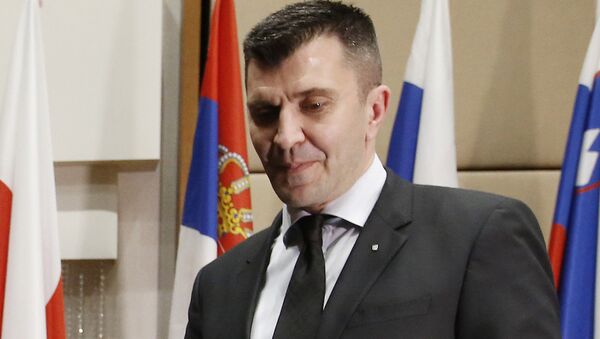 Sırbistan Savunma Bakanı Zoran Djordjevic - Sputnik Türkiye