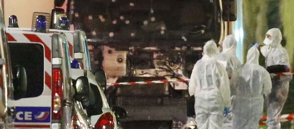 Nice saldırısını gerçekleştiren kişinin hırsızlık ve şiddet suçundan sabıkasının olduğu ancak Fransa’nın terör listesinde yer almadığı belirtildi. - Sputnik Türkiye