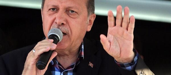 Cumhurbaşkanı Recep Tayyip Erdoğan - Sputnik Türkiye