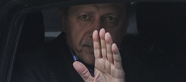 Recep Tayyip Erdoğan - Sputnik Türkiye