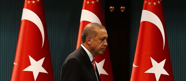Recep Tayyip Erdoğan - Sputnik Türkiye