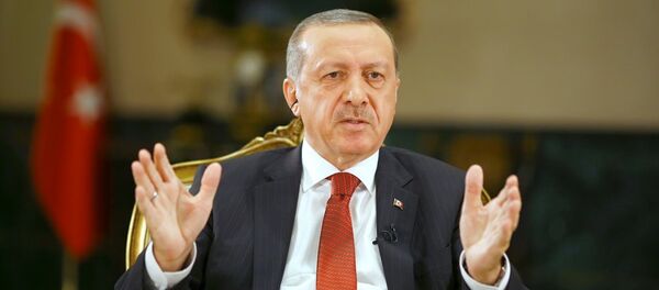 Recep Tayyip Erdoğan - Sputnik Türkiye