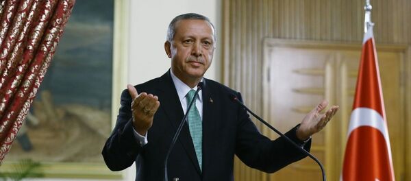 Cumhurbaşkanı Recep Tayyip Erdoğan - Sputnik Türkiye