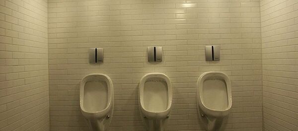 Tuvalet - Sputnik Türkiye