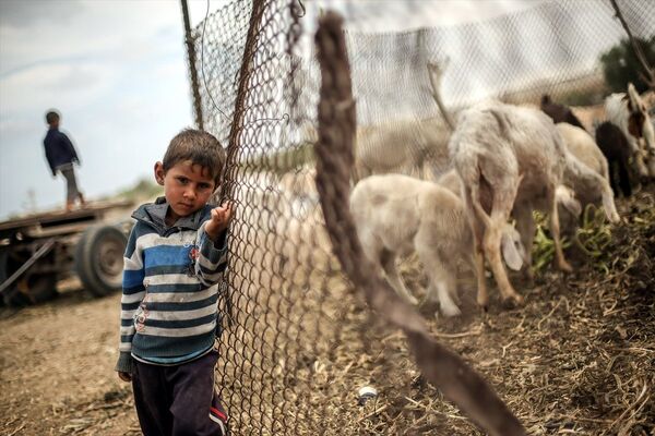 Gazze Şeridi'ndeki Bedevi ailelerin yaşamı - Sputnik Türkiye