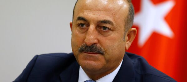 Mevlüt Çavuşoğlu - Sputnik Türkiye