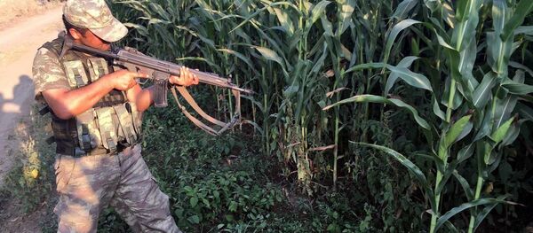 15 Temmuz darbe girişimi gecesi Muğla Marmaris’te Cumhurbaşkanı Recep Tayyip Erdoğan’ın kaldığı otele saldırdıktan sonra kaçan 11 darbeci askerin yakalanması için, Gökçe ile Akçapınar köyleri arasındaki ormanlık alanda komando birliği operasyon düzenledi. - Sputnik Türkiye