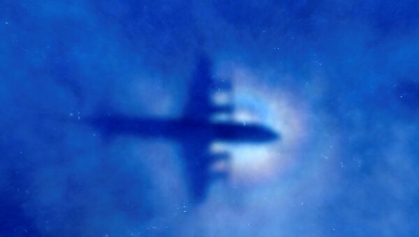 Malezya Hava Yolları'na ait MH370 sefer sayılı uçak - Sputnik Türkiye