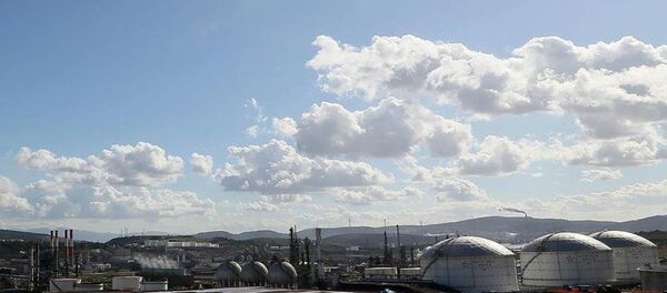 PETKİM'in Aliağa'daki yerleşkesi - Sputnik Türkiye