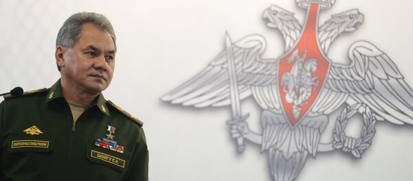 Rusya Savunma Bakanı Sergey Şoygu - Sputnik Türkiye