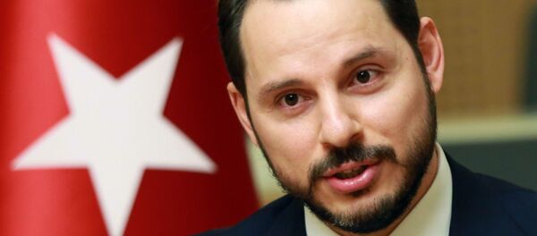 Berat Albayrak - Sputnik Türkiye