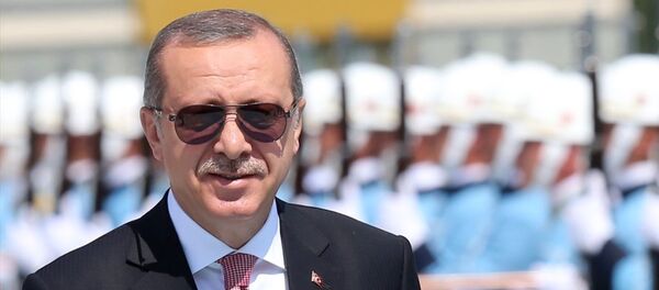 Cumhurbaşkanı Recep Tayyip Erdoğan - Sputnik Türkiye