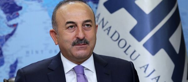 Dışişleri Bakanı Mevlüt Çavuşoğlu - Sputnik Türkiye