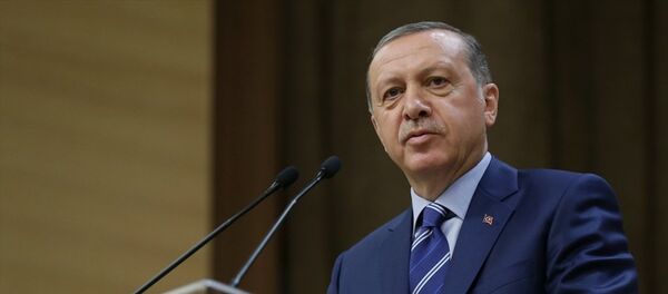 Cumhurbaşkanı Recep Tayyip Erdoğan - Sputnik Türkiye