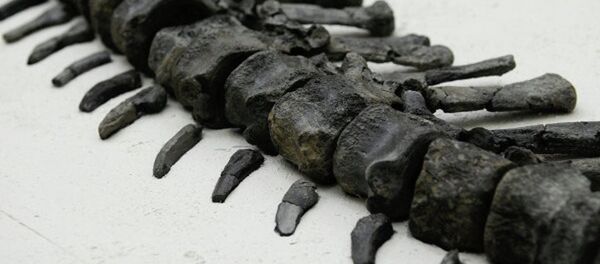 dinozor - Sputnik Türkiye