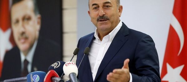 Dışişleri Bakanı Mevlüt Çavuşoğlu - Sputnik Türkiye