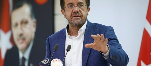 Ekonomi Bakanı Nihat Zeybekci - Sputnik Türkiye
