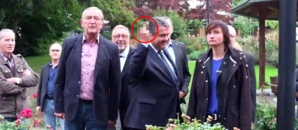 Sigmar Gabriel, Neo-Nazi gençlere orta parmağını gösterdi - Sputnik Türkiye
