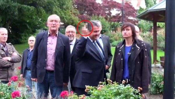 Sigmar Gabriel, Neo-Nazi gençlere orta parmağını gösterdi - Sputnik Türkiye