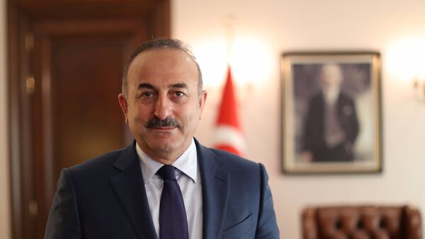 Türkiye Dışişleri Bakanı Mevlüt Çavuşoğlu - Sputnik Türkiye