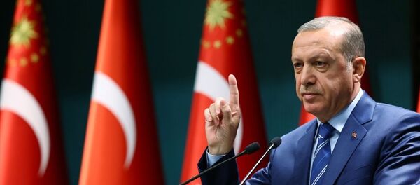 Cumhurbaşkanı Recep Tayyip Erdoğan - Sputnik Türkiye