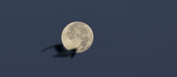 Dolunay - Sputnik Türkiye