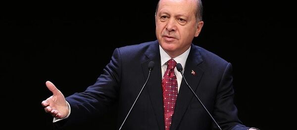 Cumhurbaşkanı Recep Tayyip Erdoğan Cumhurbaşkanı Recep Tayyip Erdoğan - Sputnik Türkiye