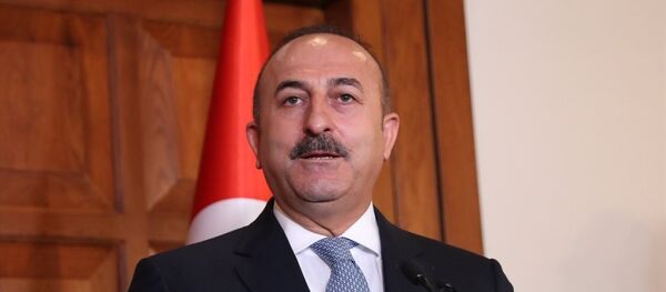 Dışişleri Bakanı Mevlüt Çavuşoğlu - Sputnik Türkiye